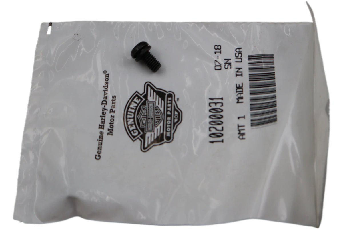 HCU Bracket Screw for Harley-Davidson FXD Dyna (2012–2017) 10200031