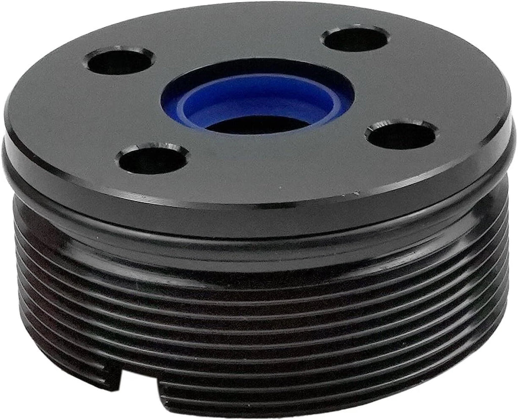 Trim Cylinder End Cap Assembly & Seal for