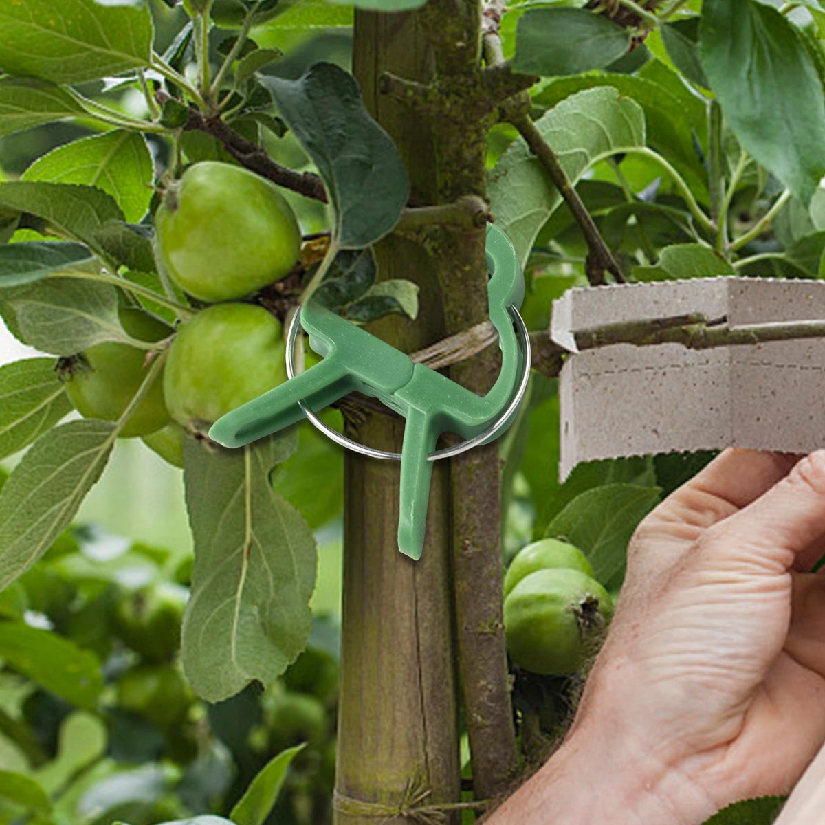 100 Flexible Plant Support Clips for Upright Plants