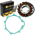 Stator and Gasket Replacement for Kawasaki Ninja ZX-6R (2009–2012)