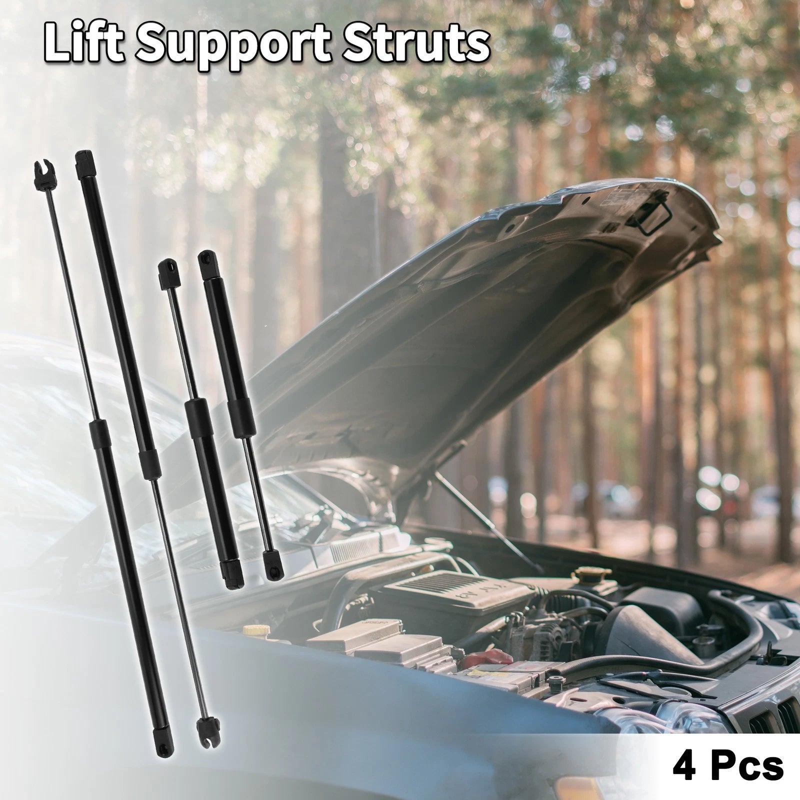 Front Hood and Tailgate Lift Supports Struts Set for Dodge Intrepid (1998–2004)