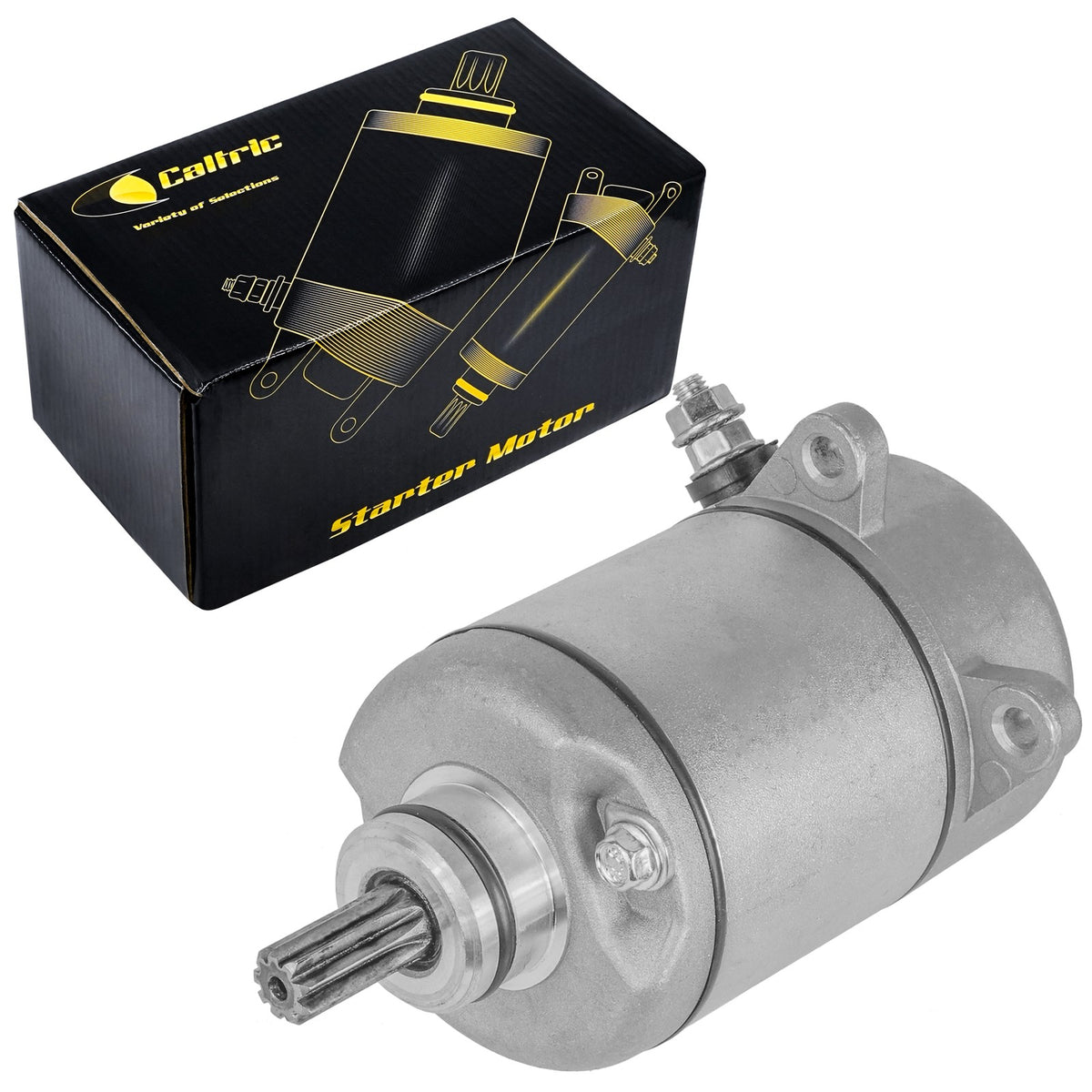 Starter Motor Replacement for Honda TRX250X TRX 250X (2009–2020)