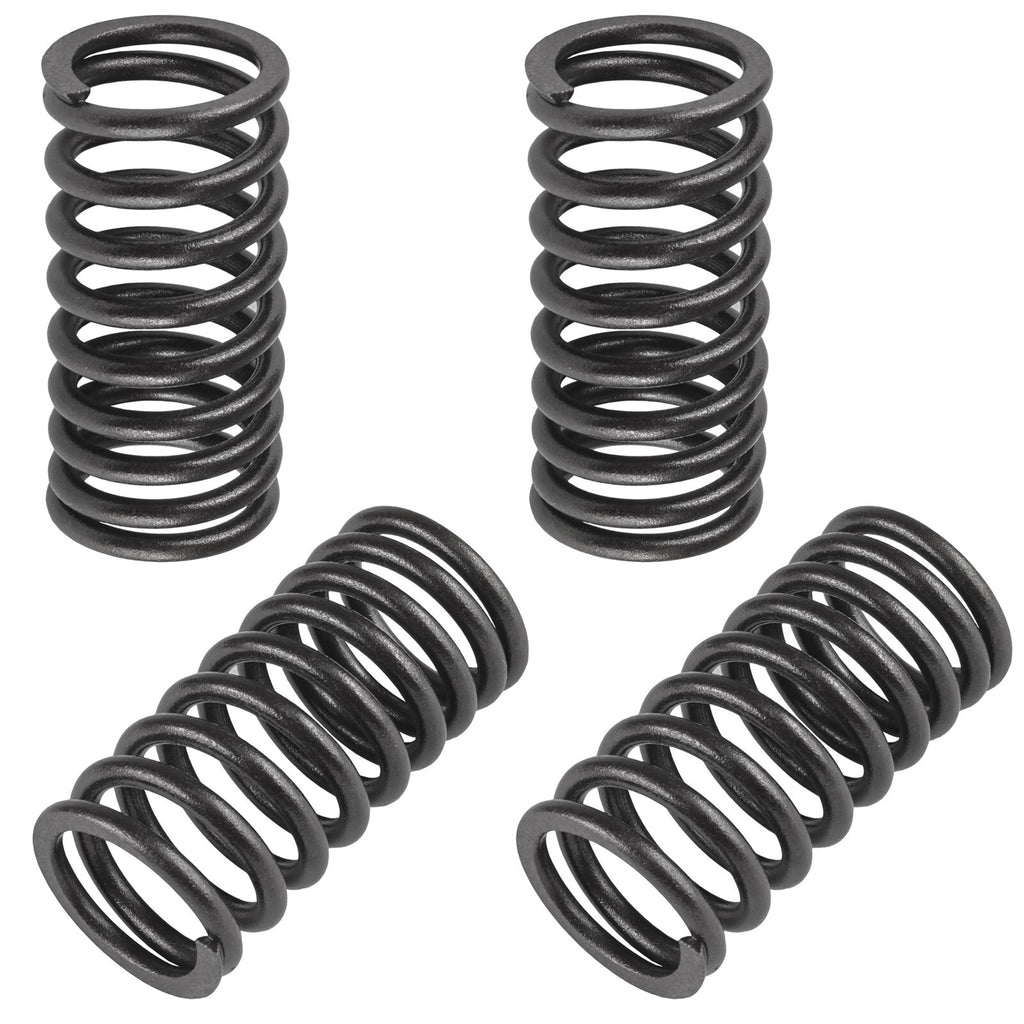 Valve Springs Replacement Set for Honda (2001–2012)