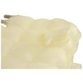 Radiator Coolant Overflow Bottle with Sensor Hole for Ford Falcon (1993–1998)