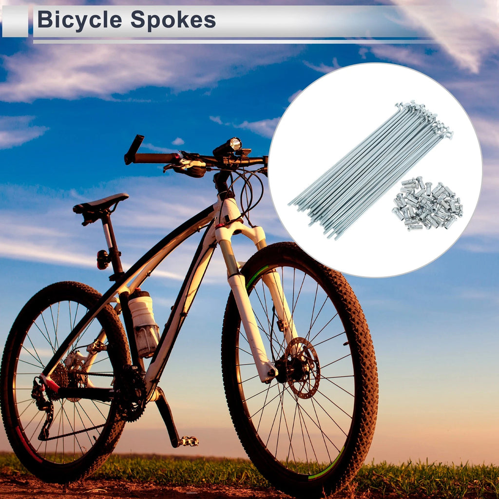 Bicycle Spokes Nipple Set 12G 149mm Carbon Steel for Universal Use (Universal)