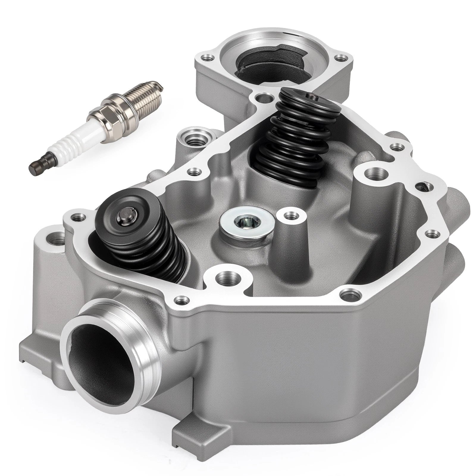 Cylinder Head Assy for Honda TRX420 TRX500 SXS500M2 (12200-HP7-A01, 12200-HP7-A00)
