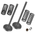 2x Intake Valve Kit Replacement for Honda Foreman Rubicon 500 4x4 (2001–2014)