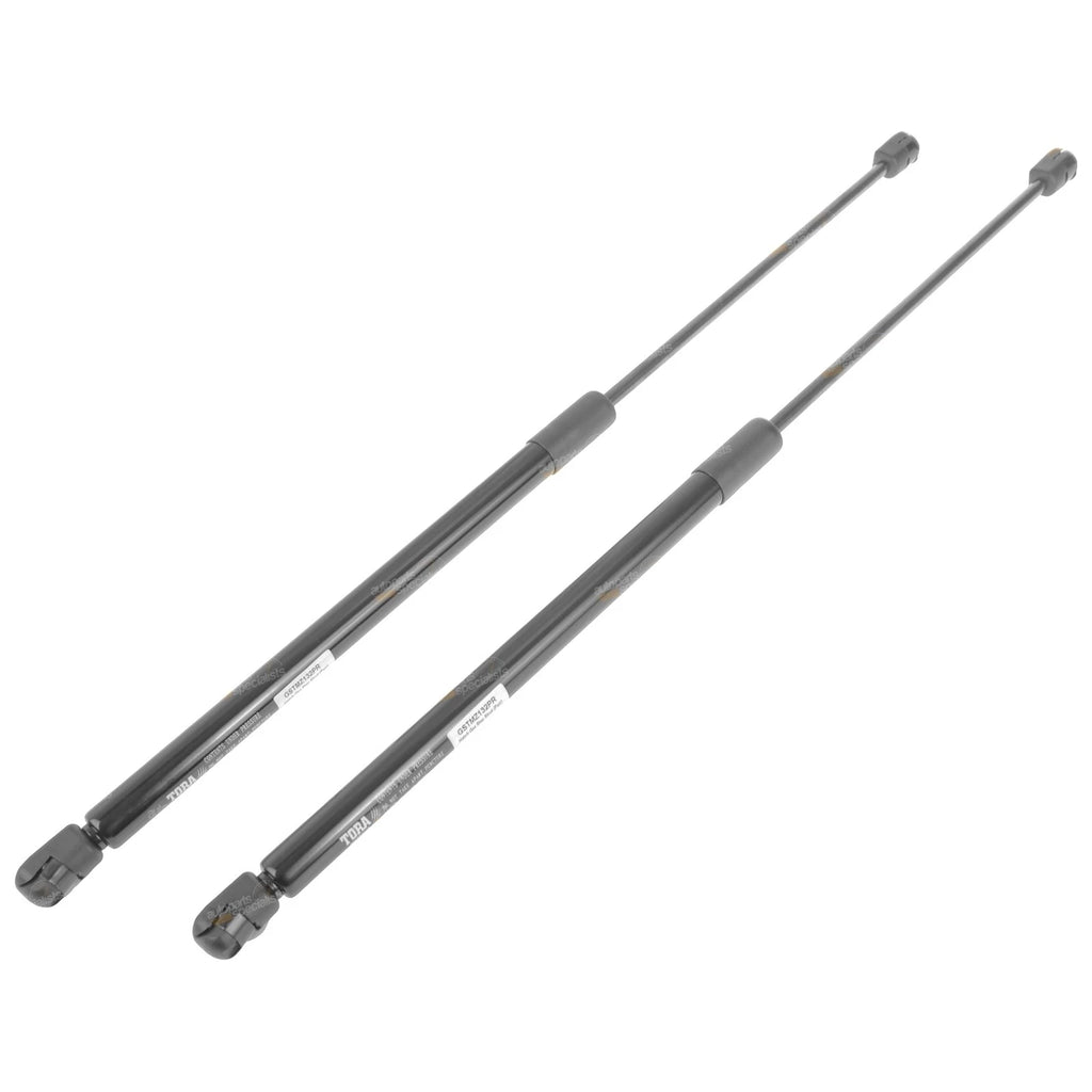 2X Hatch Tailgate Gas Struts for Mazda 2 DY Hatchback (2002–2007)