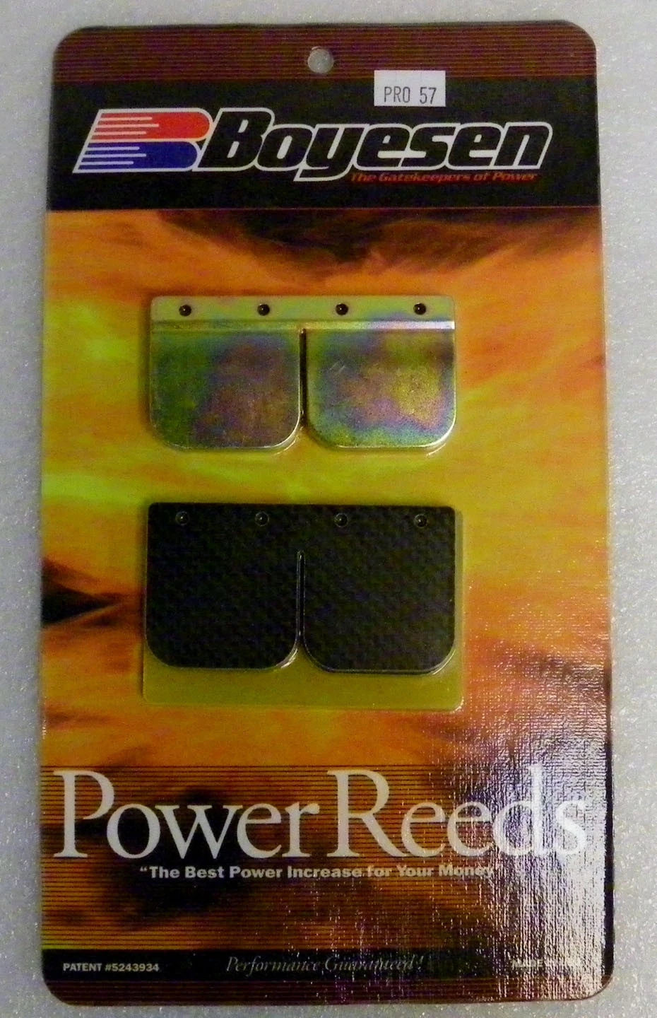 Pro Reeds for Kawasaki 1100 / 1200 (Stock) - PRO-57
