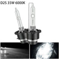 2X Xenon Headlight Bulb 6000K for
