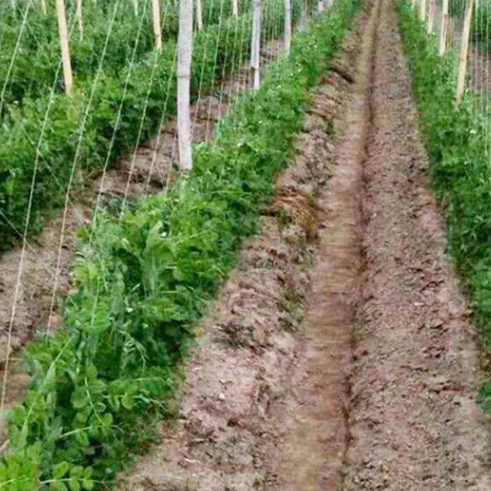 Plant Support Netting for Garden Vegetable Pea Bean