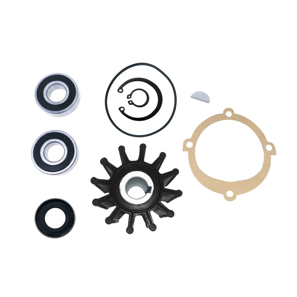 Major Repair Kit for Sherwood Pump (10615, P102, P105, P109, P110)