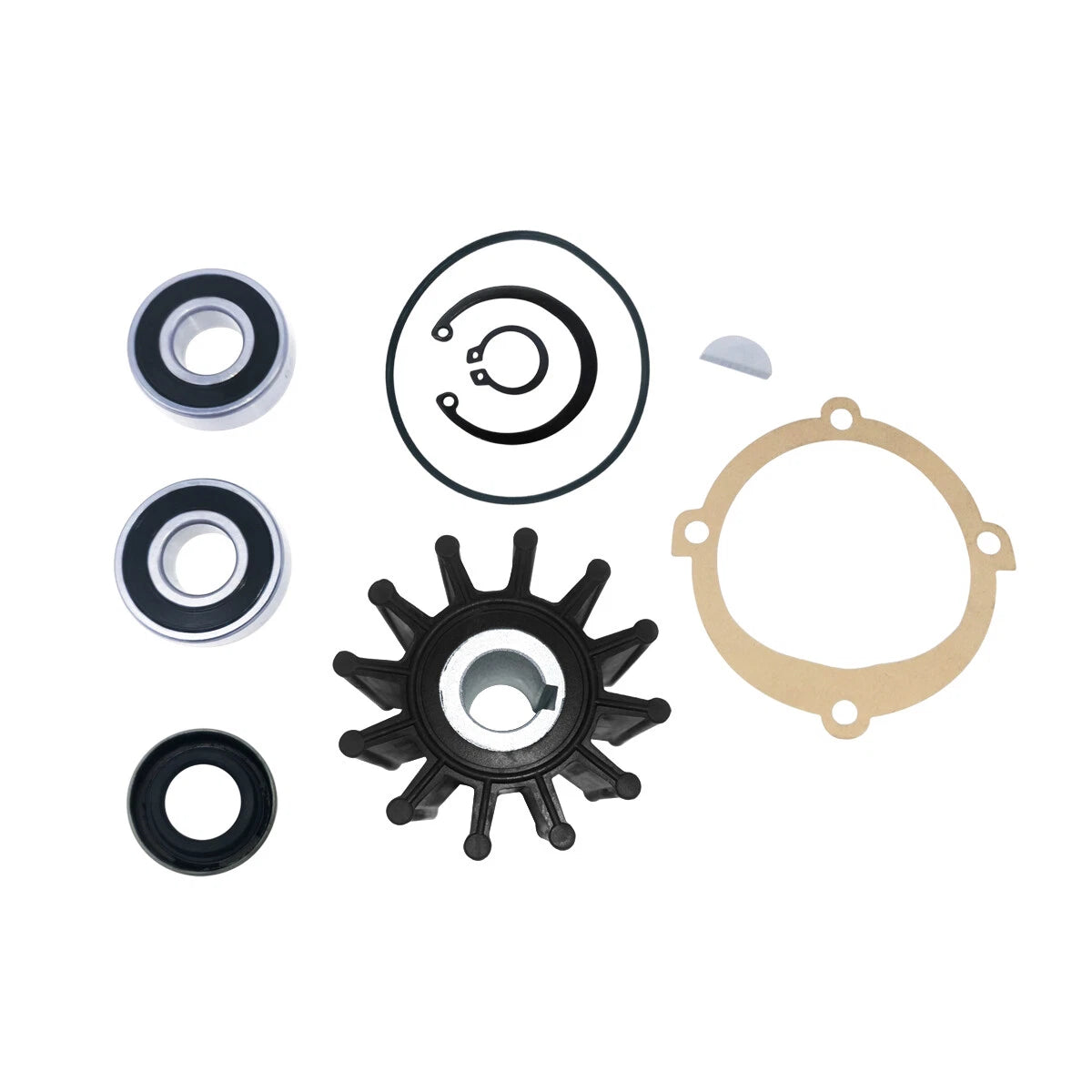 Major Repair Kit for Sherwood Pump (10615, P102, P105, P109, P110)