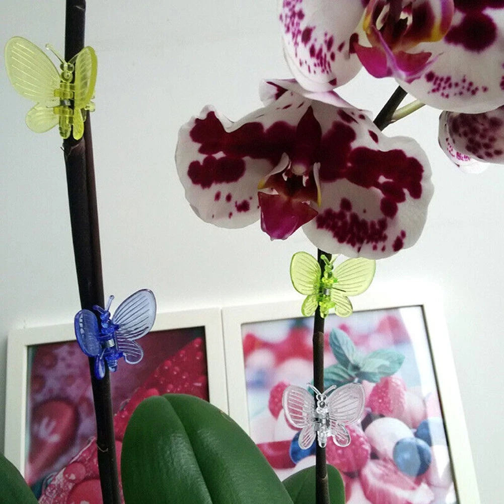Vine Fix Clip Accessories for Orchids