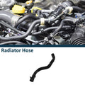Radiator Hose Replacement for Audi A5 (2010–2016)