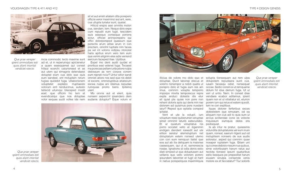 Volkswagen Type 4 411 412 Fastback Squareback Repair Manual (1968–1974)