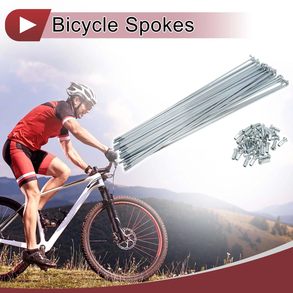 Bicycle Wheel Spokes 260mm Galvanized Carbon Steel for 12G Set (38)