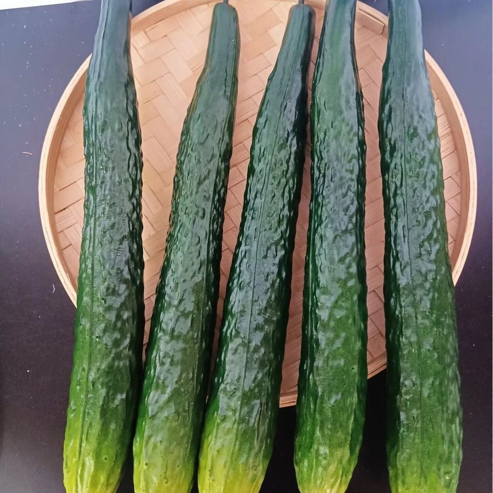 Set of 2 PU Cucumber Models for Photography and Window Display Decor