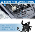 Hood Latch Assembly for Chevrolet Malibu 2008–2012