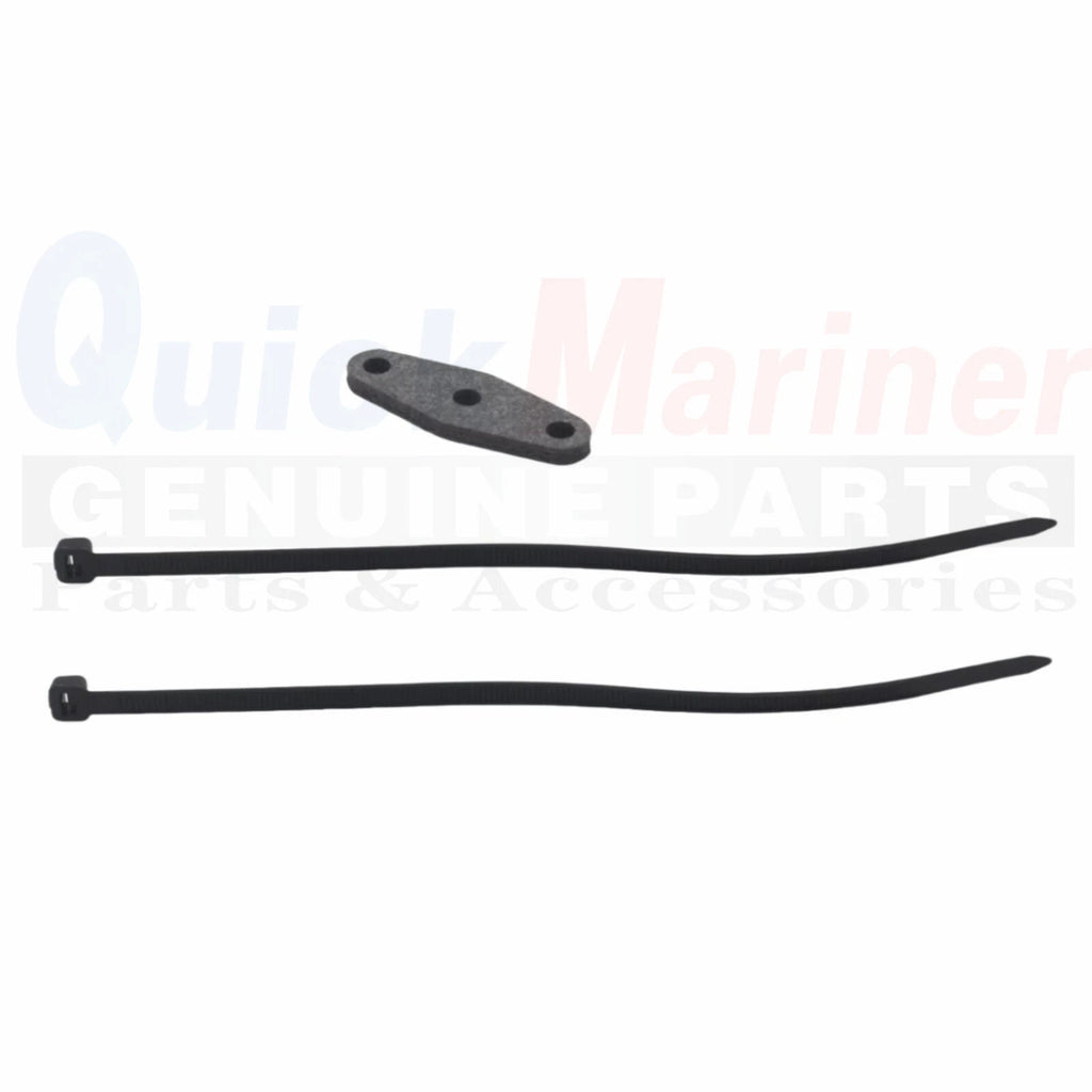 Fuel Pump for Johnson Evinrude Outboard (0434728, 0438562)