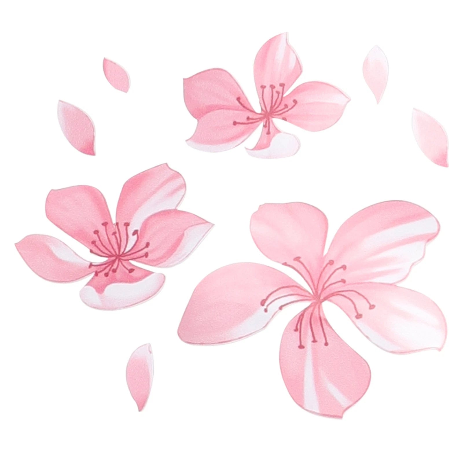 Vinyl Car Sticker for Windshield Bumper (Pink-Cherry Blossom)