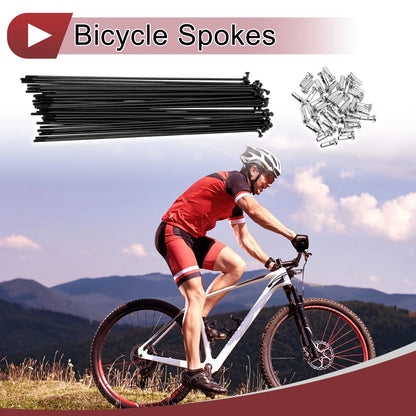 Bike Wheel Spokes 177mm Carbon Steel Black Set for 14G Bicycle (All Years)