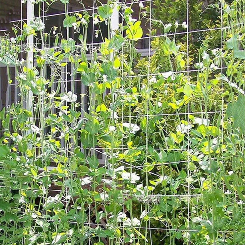 Garden Support Mesh Net for Vegetable Fruit Climbing (Pea Bean Trellis)