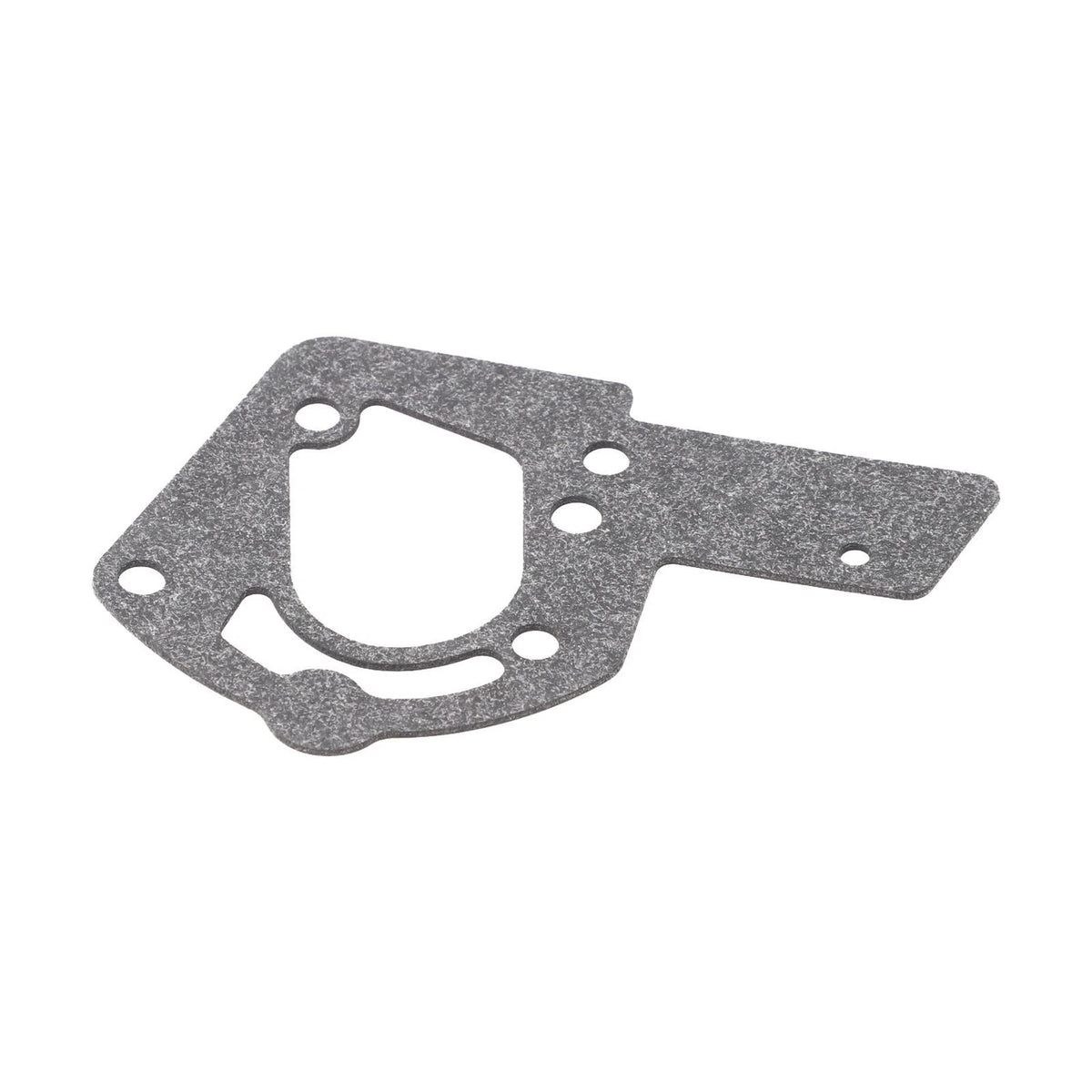 Gasket for Carburetor (004158, 272489) for