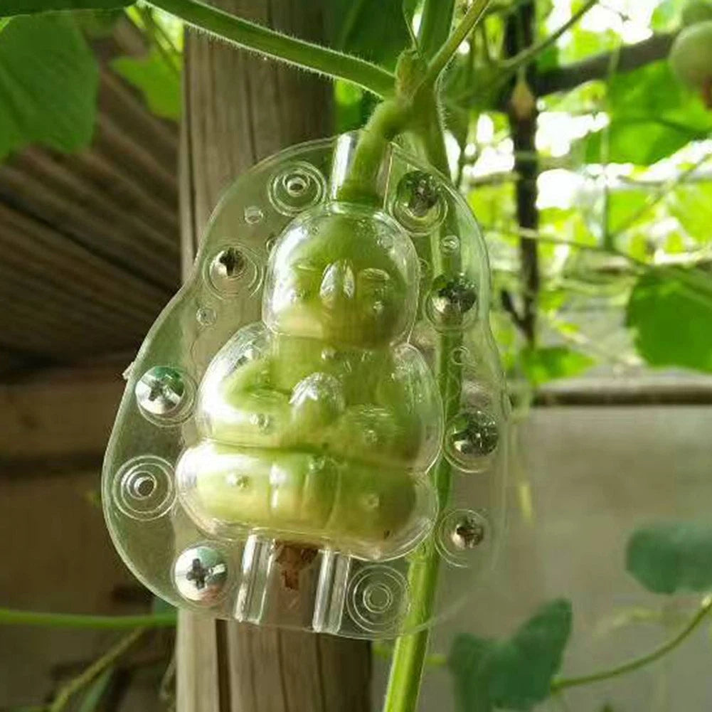 Heart Shaped Fruit Shaping Tool for Pears and More
