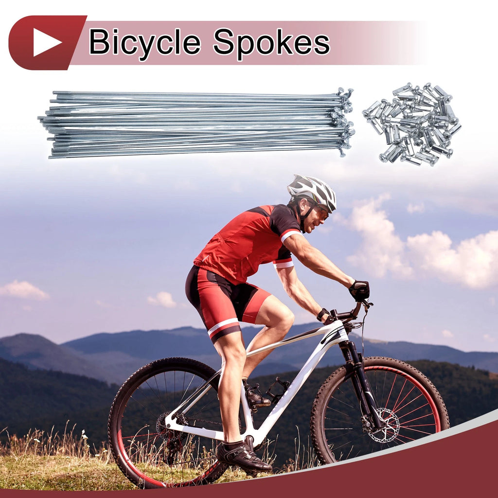 Bicycle Spoke Set 14G Steel Galvanized 179mm for Universal Bikes (All Years)