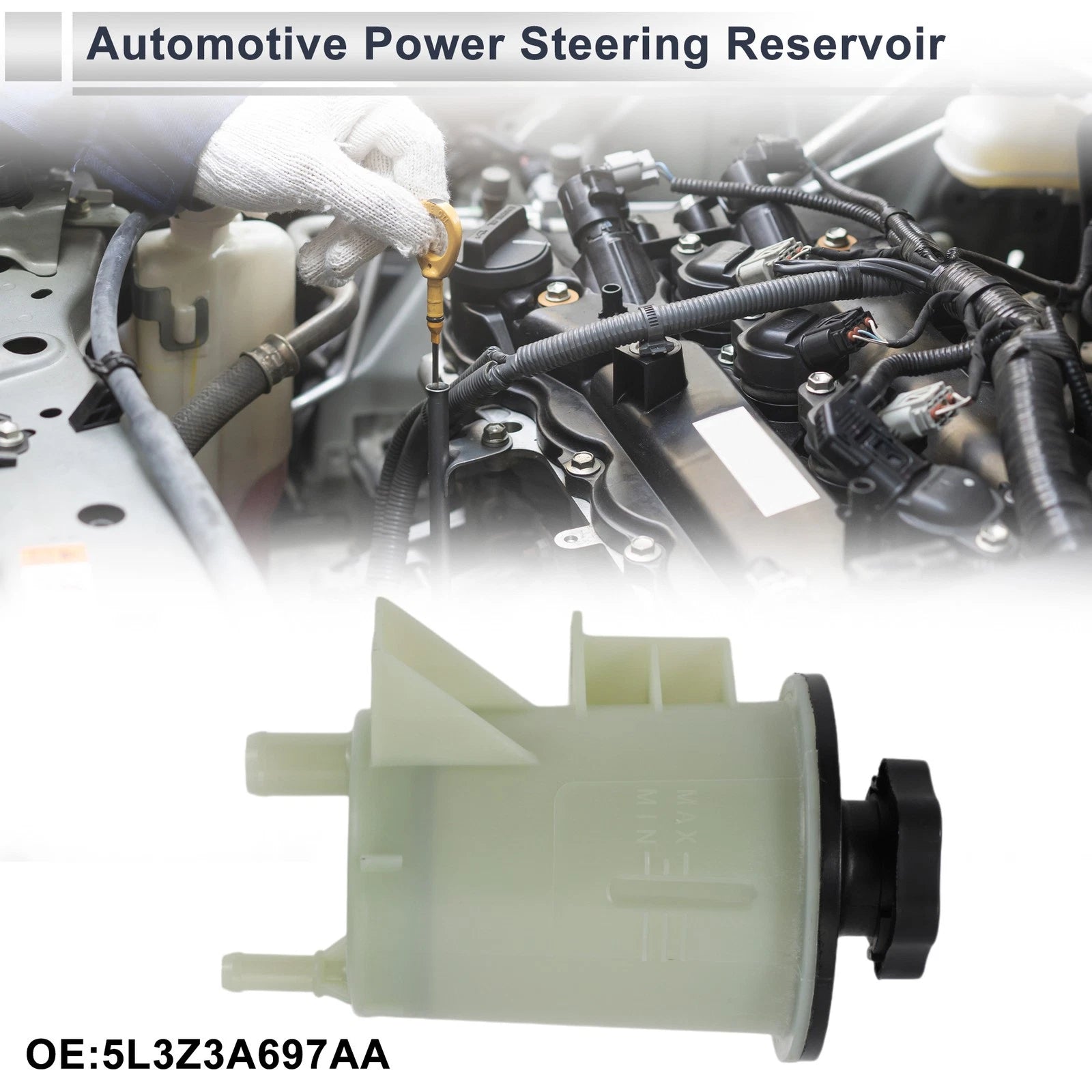 Power Steering Reservoir Replacement for Ford F-150 (2004–2008)