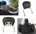 Chrome Detachable Sissy Bar Pad w/ Backrest for Harley FLRT FreeWheeler (2015–2025)