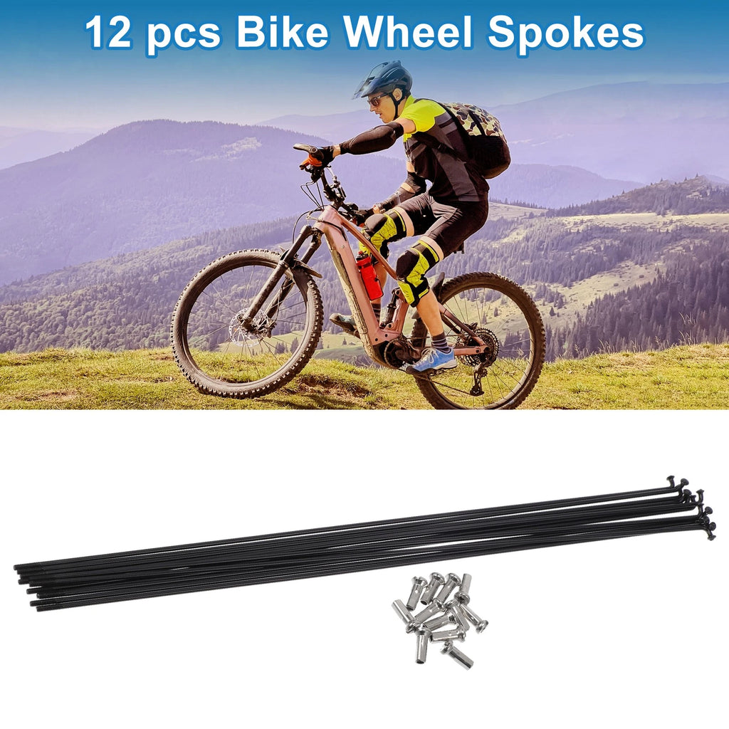 Bicycle Spokes Nipples 304 Stainless Steel 14G Black for Universal (Universal)