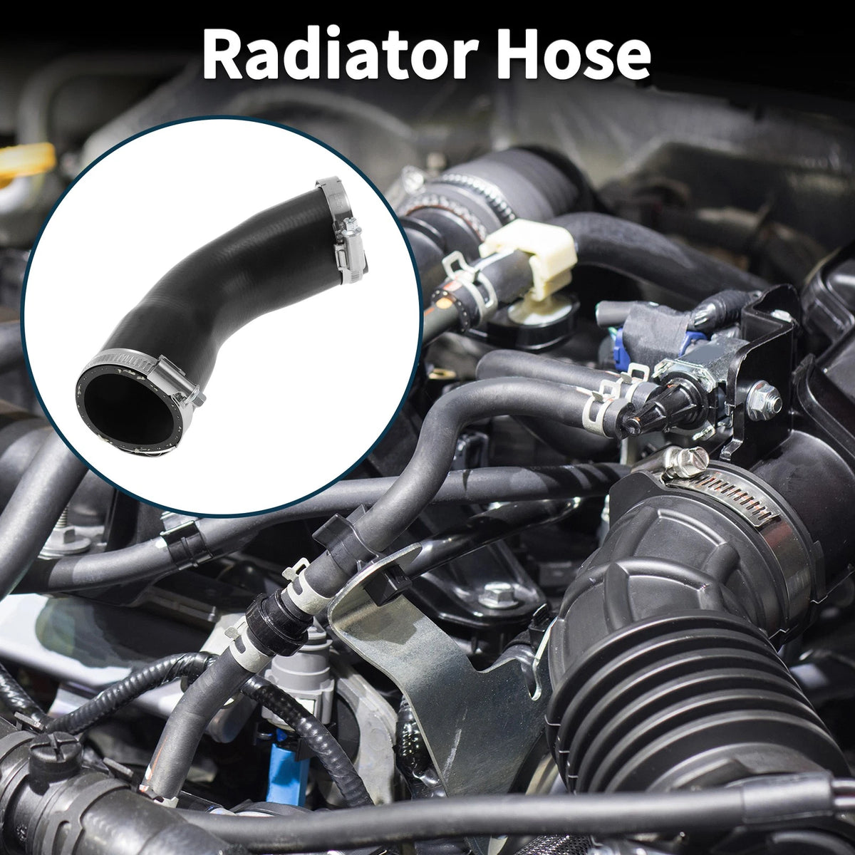Radiator Hose for BMW 3 Series E46 (1999–2005) OEM Replacement