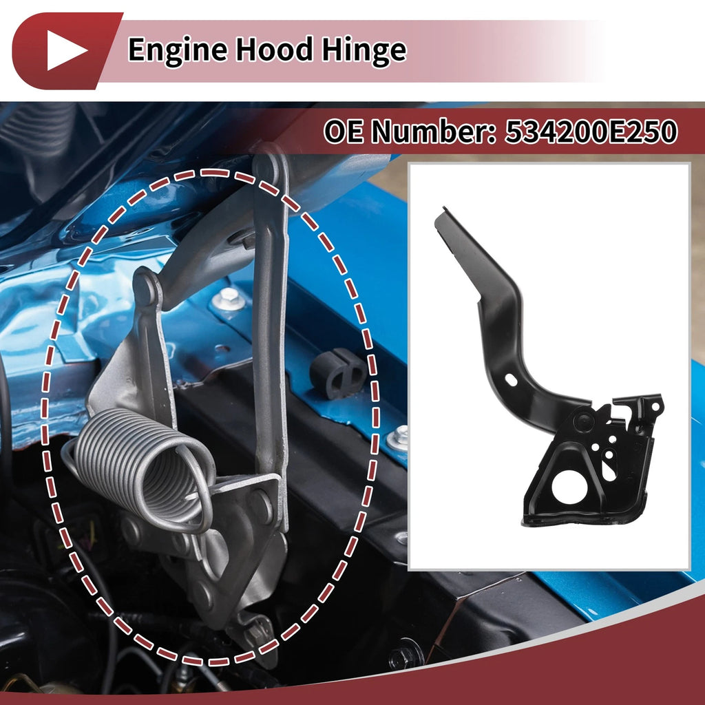 Hood Hinge Left Side for Toyota Highlander (2019–2024) OEM Replacement