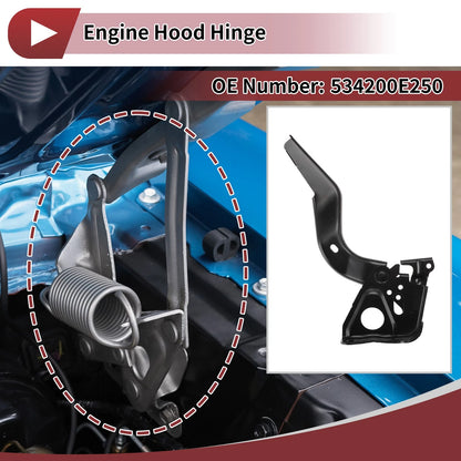 Hood Hinge Left Side for Toyota Highlander (2019–2024) OEM Replacement