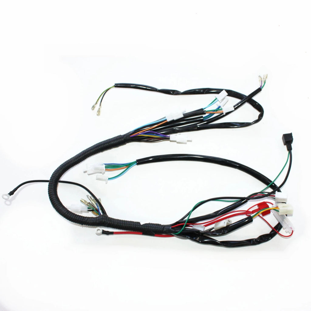 Wiring Harness Loom for 125cc Pit Trail Dirt Bike (Reg Engine)