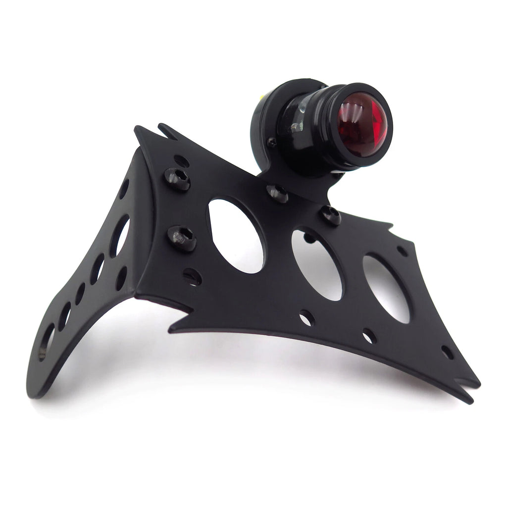 License Bracket & Tail Light for Harley Touring Bobber Chopper