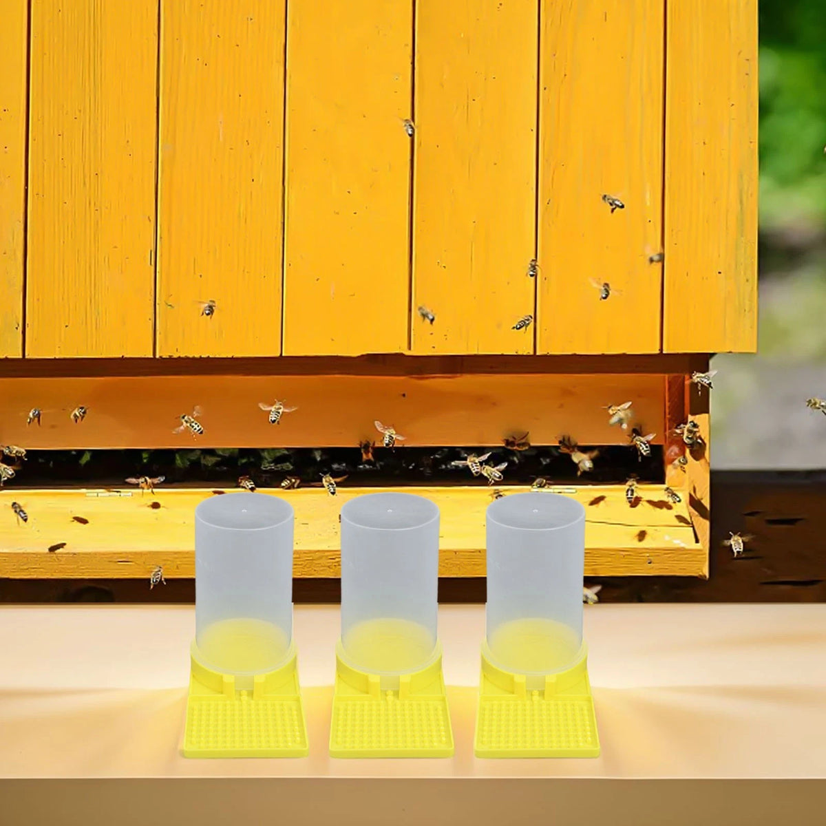 3 Pack Bee Drinkers for Optimal Hive Environment