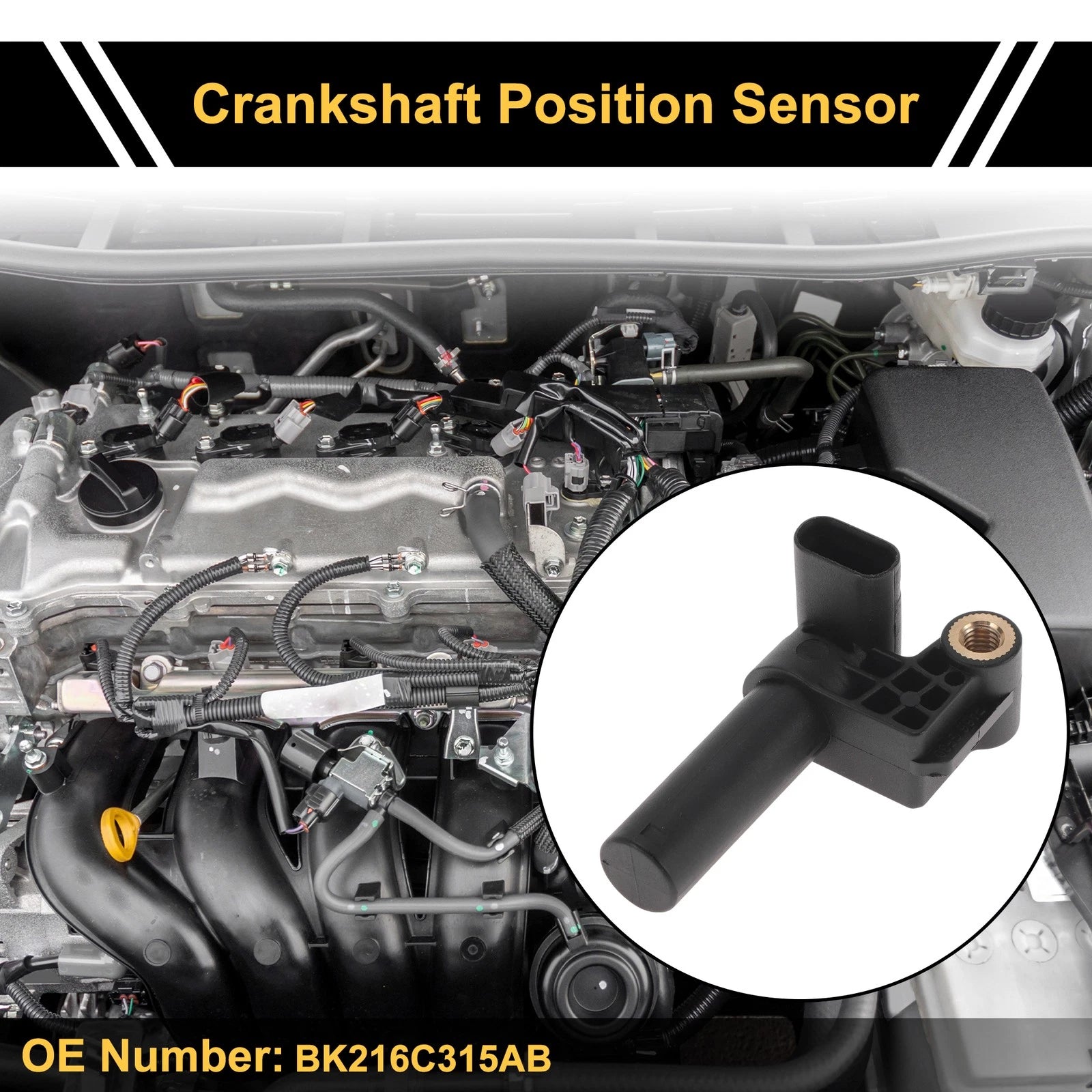 Crankshaft Position Sensor Replacement for Ford Transit Mk6 Minibus (2006–2013)