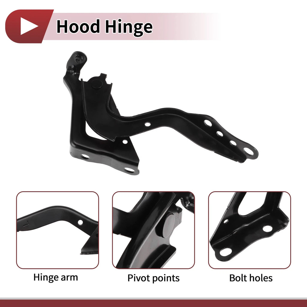 Hood Hinge for Toyota RAV4 (2020) Left Side, 1 Piece