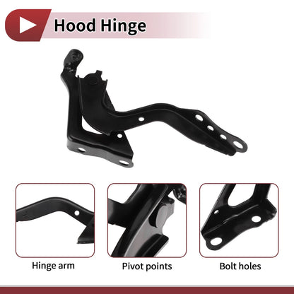 Hood Hinge for Toyota RAV4 (2020) Left Side, 1 Piece
