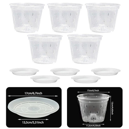 Clear Plastic Orchid Planters for Effective Drainage