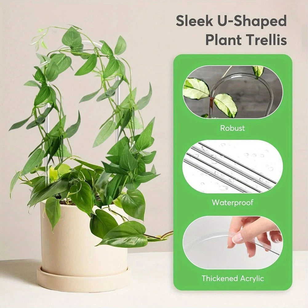 Transparent U Shaped Trellis for Indoor Plants and Vines Display