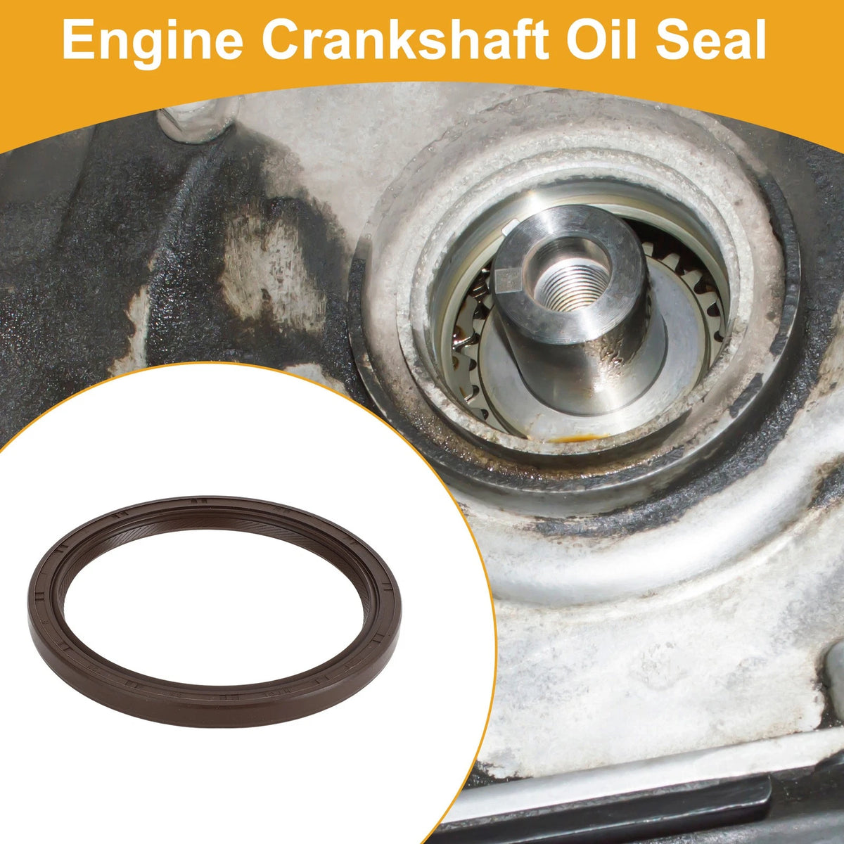 Engine Rear Crankshaft Oil Seal for Dodge Mitsubishi (No.MD343564)