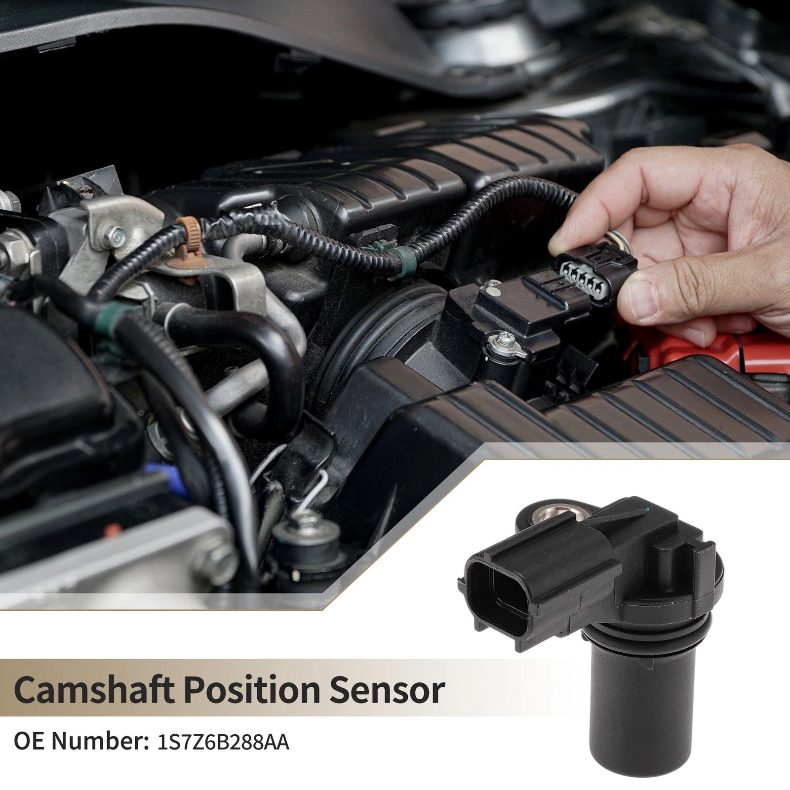 Camshaft Position Sensor No.1S7Z6B288AA for Ford Escape (2005–2008)