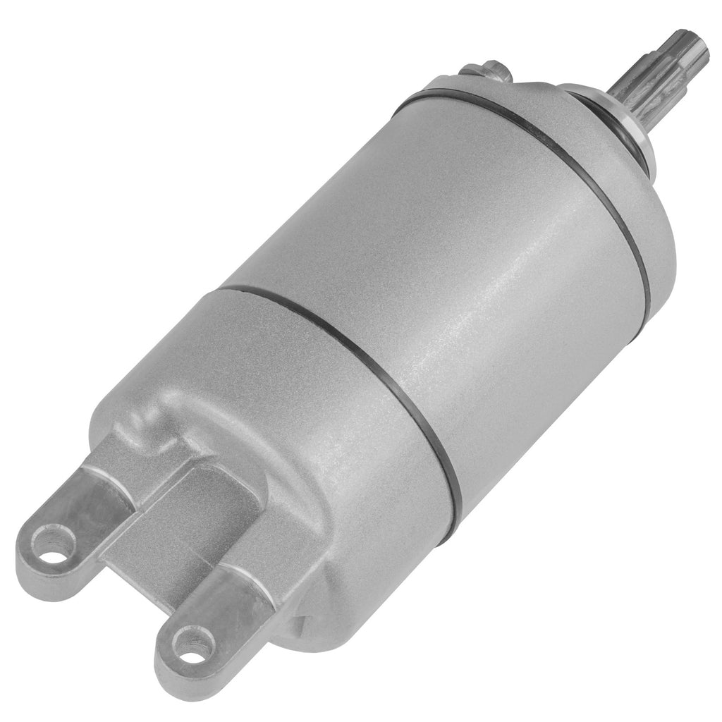 Starter Motor Replacement for Honda TRX300EX 281cc (1993–2007)