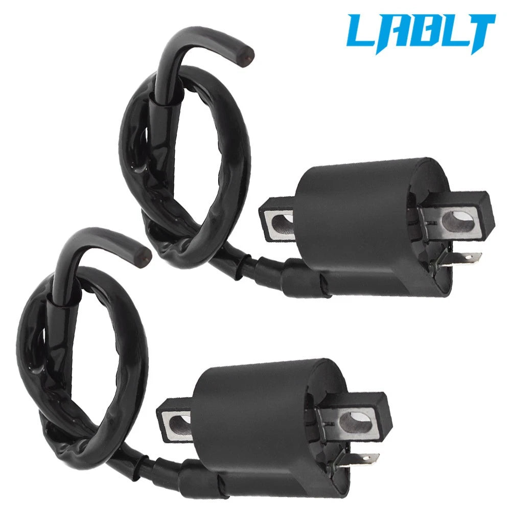 Ignition Coils Set of 2 for Yamaha Virago 750 (1988–1997)