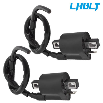 Ignition Coils Set of 2 for Yamaha Virago 750 (1988–1997)