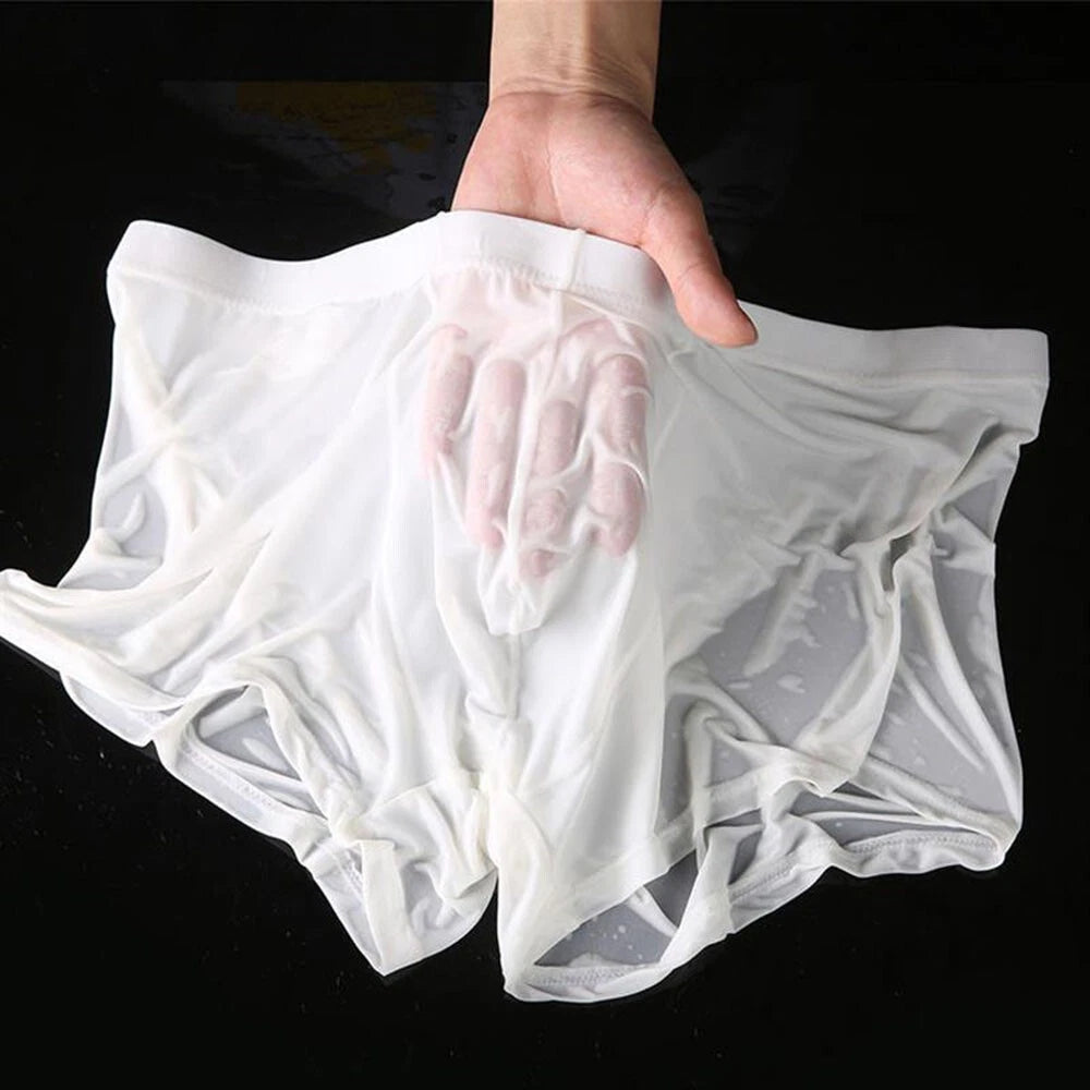 2X Sheer Mesh Boxer Briefs for Men - See Through Trunks